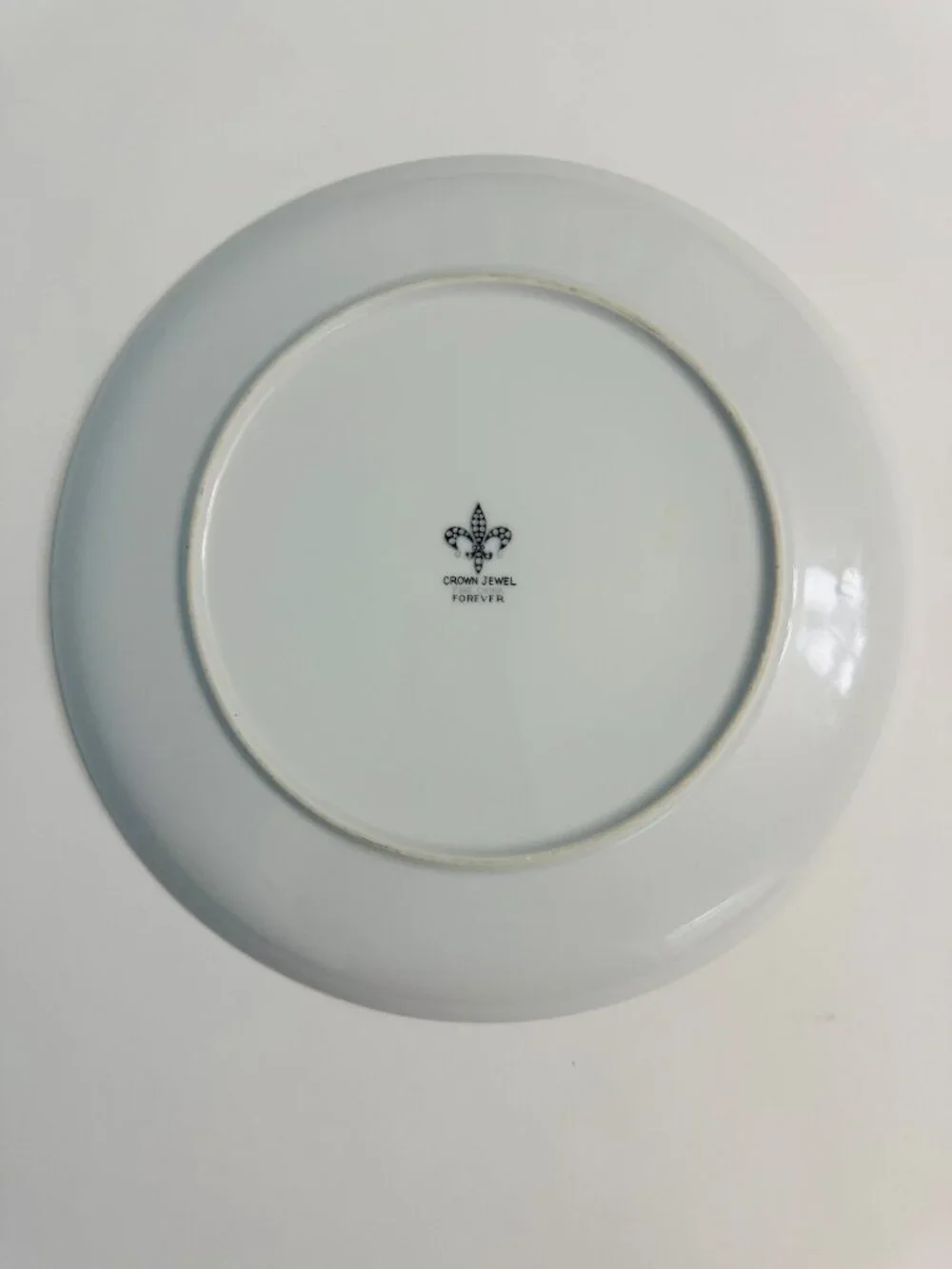 Crown Jewel Fine China Dinner Plates Daisy Floral Silver Trim Vintage Set of 4